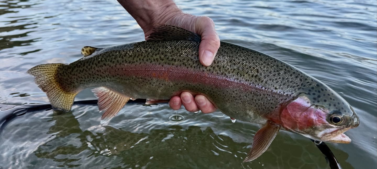 Pueblo CO Fly Shop | Colorado Fly Fishing | The Drift Fly Shop